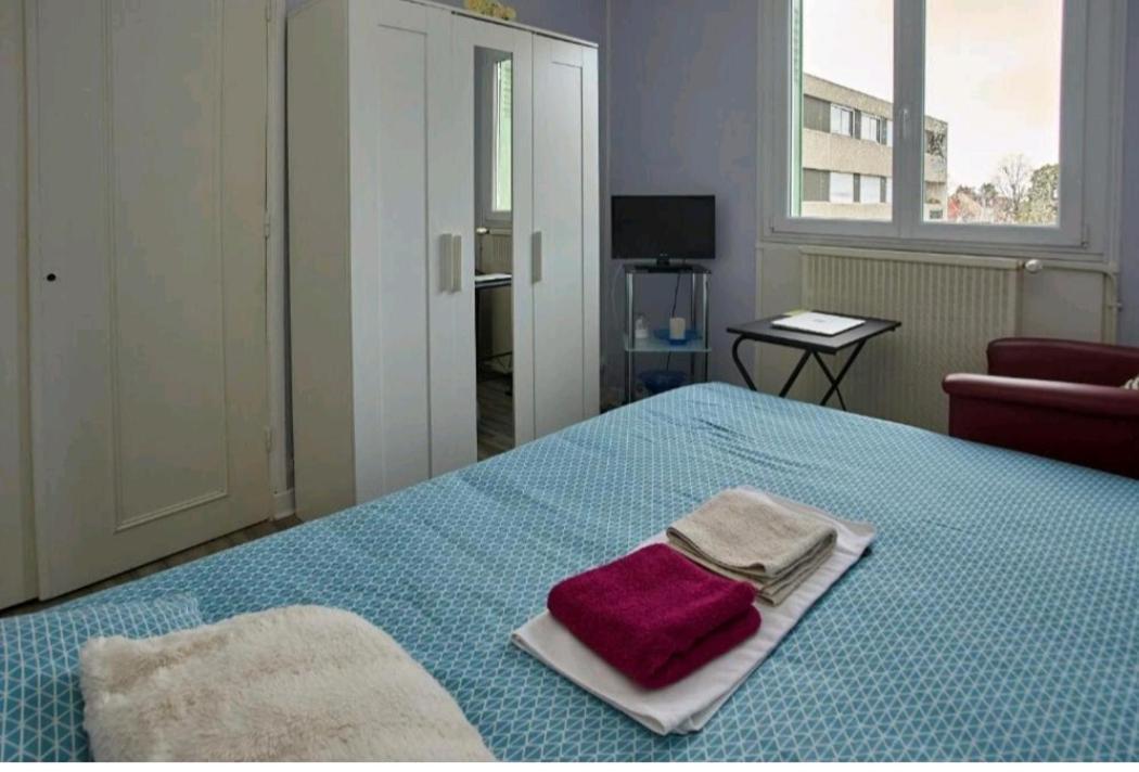 Chambres A Louer Dans Appartement Balcon - Wifi - Parking Gratuit Nevers Exterior foto